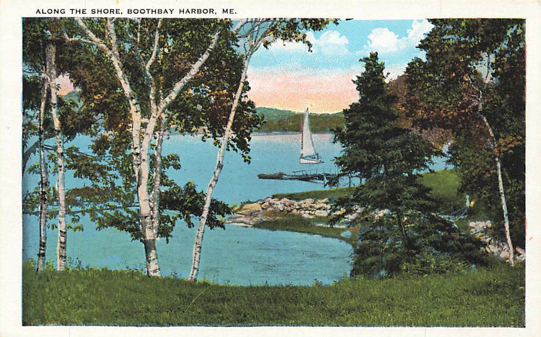 c1930 Along The Shore Boothbay Harbor Sailboat Birch Trees Maine VTG P71