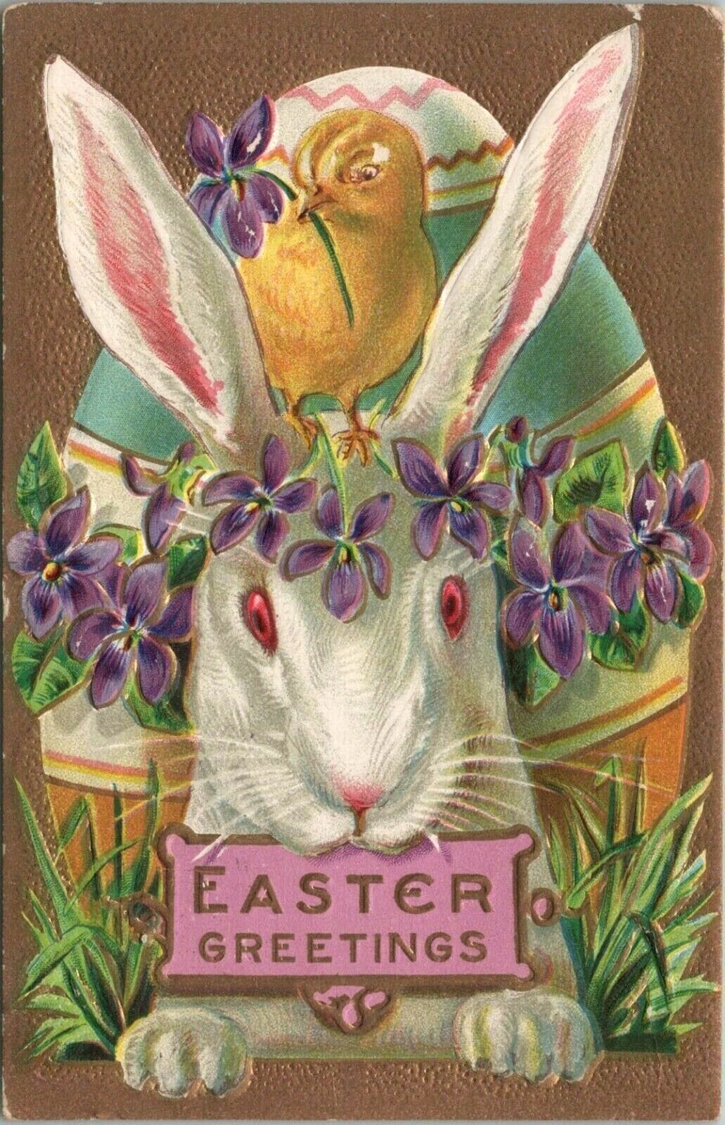c1911 Easter Postcard Giant White Bunny Rabbit with Chick on Head Purple Flowers