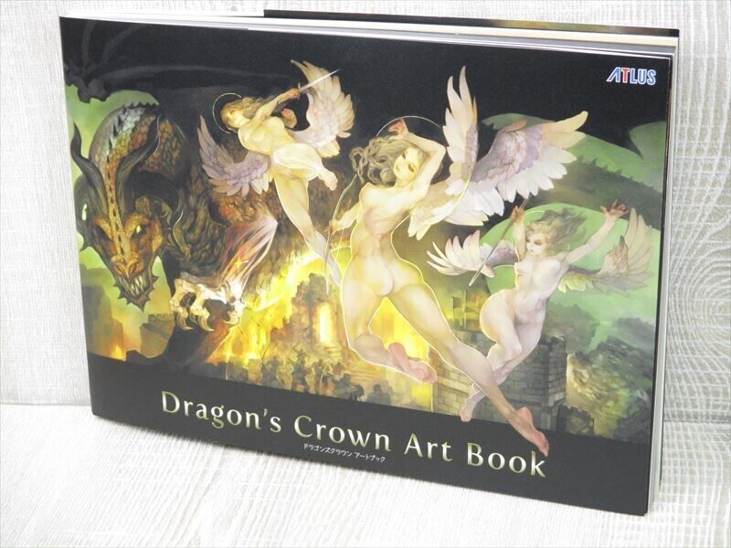 DRAGON'S CROWN Art Book Sony PlayStation 3 Fan Design 2015 Japan EB41