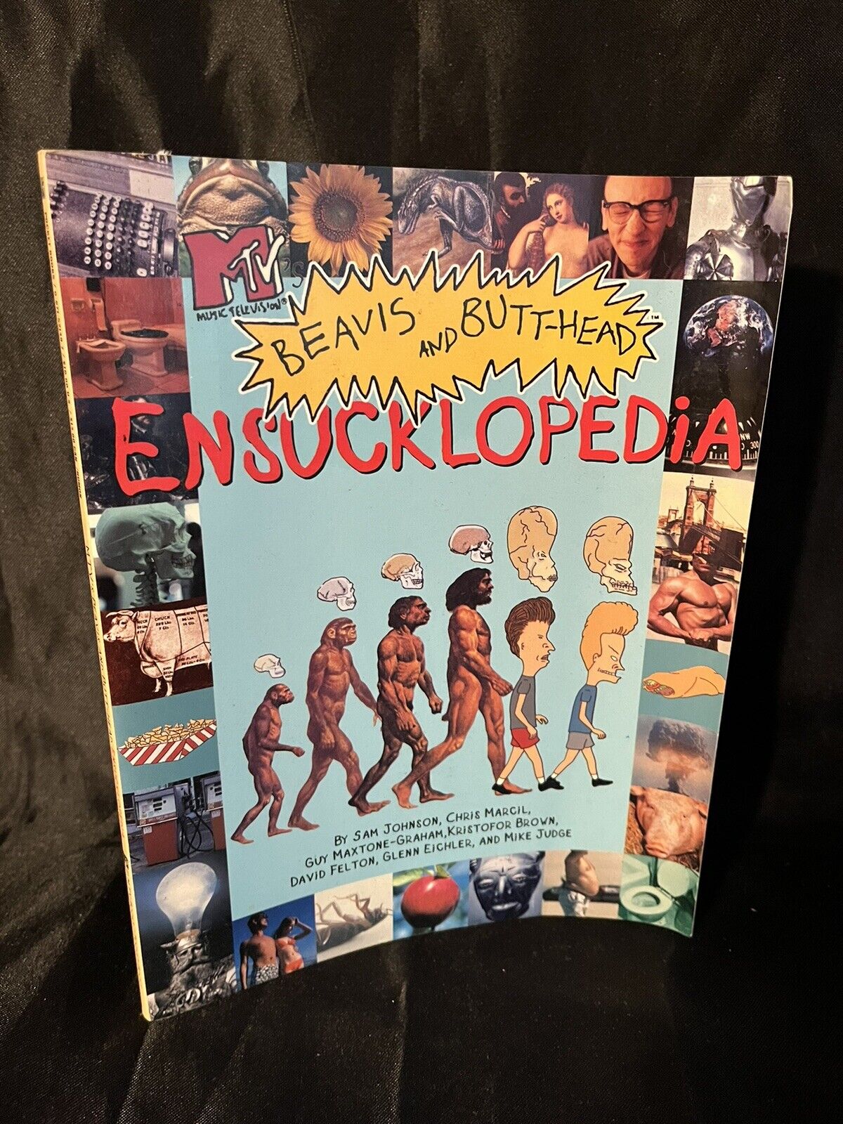 MTV\'s Beavis and Butthead\'s Ensucklopedia by Judge, Mike