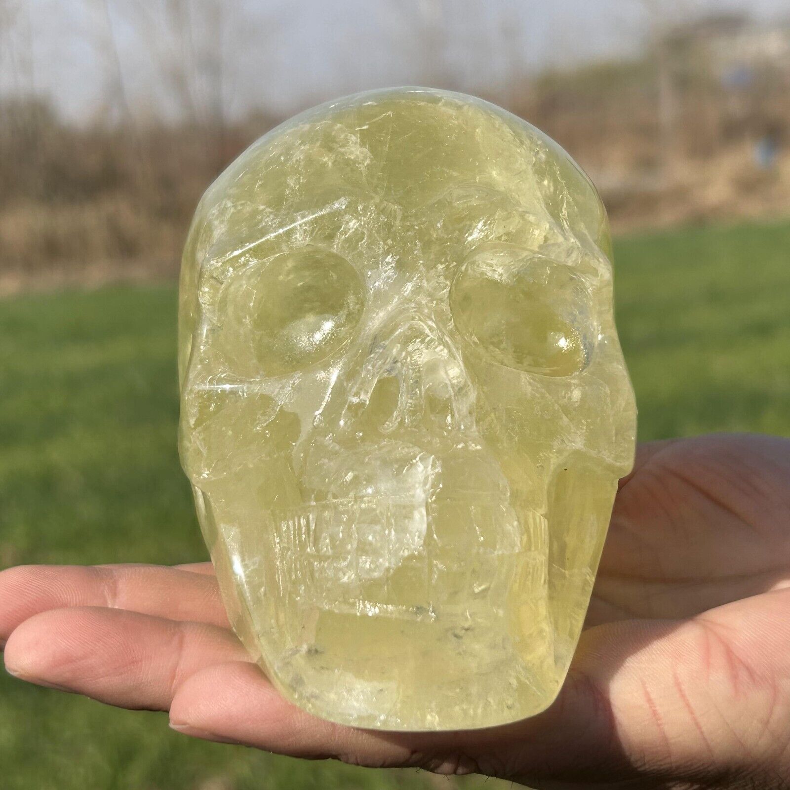 1.2kg Natural citrine skull Quartz Crystal carved skull Reiki healing WK543