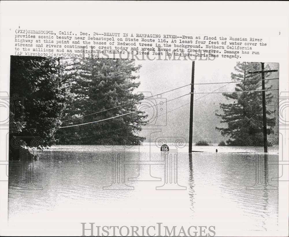 1964 Press Photo Floodwater on State Route 116 in Sebastapol, California