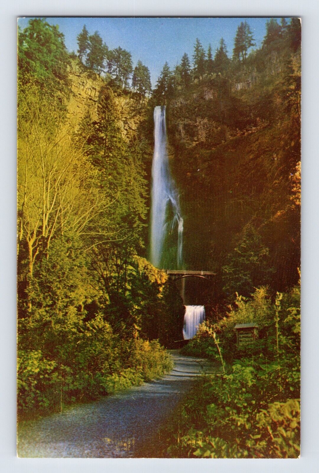 Postcard Oregon OR Multnomah Falls Columbia Gorge 1960s Unposted Chrome