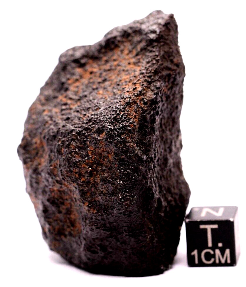 Meteorite NWA 15581 CK5 Carbonaceous chondrite meteorite, 85 grams