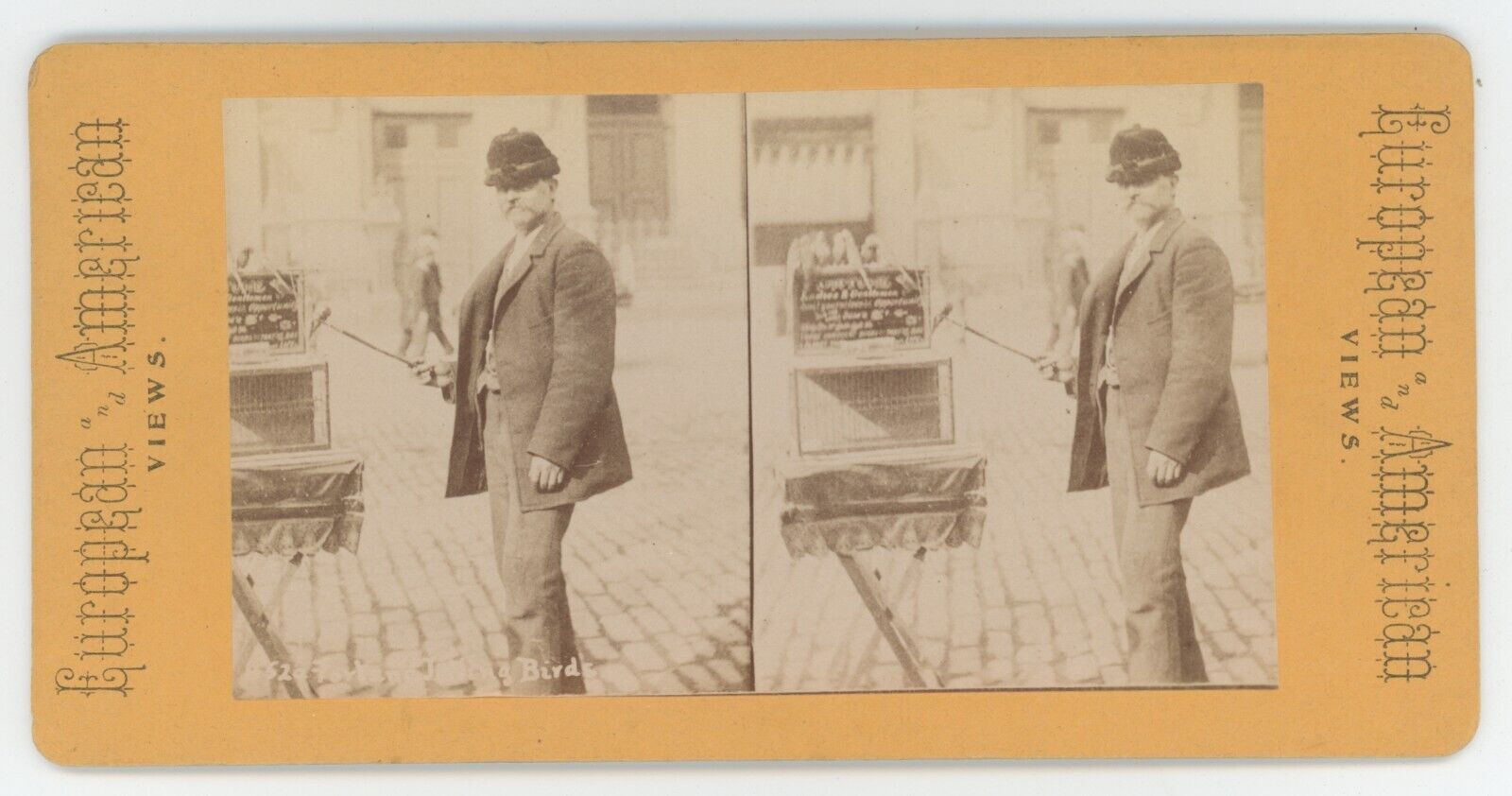 c1900\'s RARE Real Photo Stereoview of Man With Trained Parakeets on The Street
