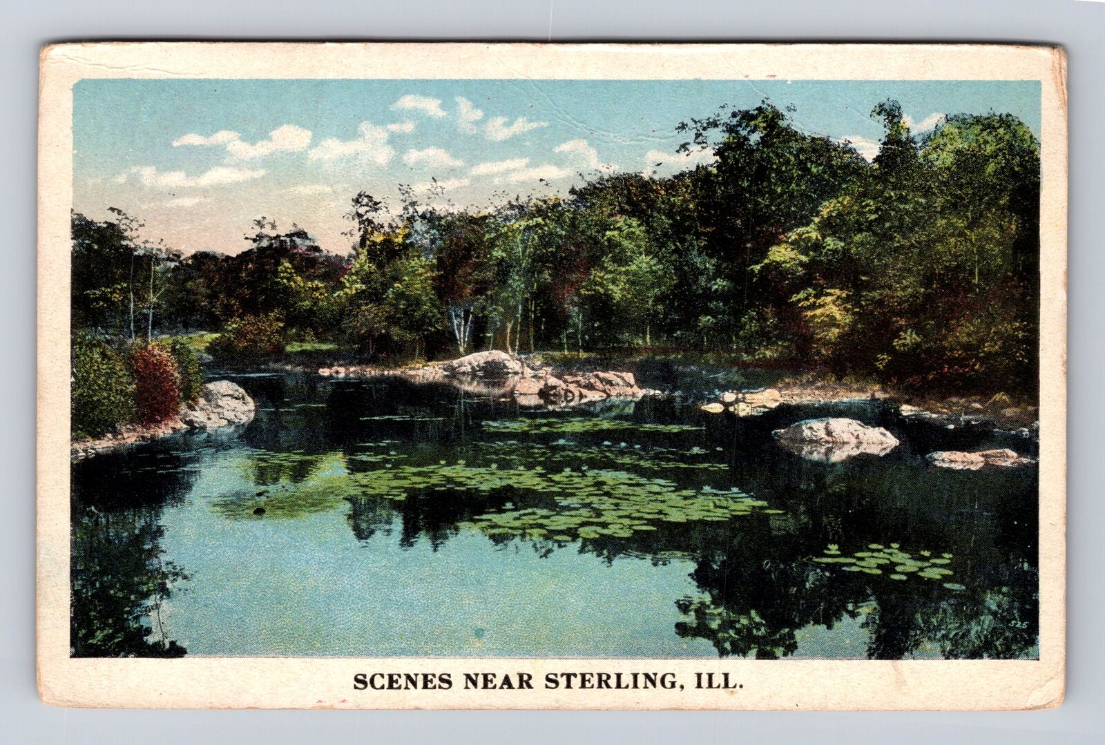 Sterling IL-Illinois, Scene Near Sterling, Lily Pond, Antique Vintage Postcard