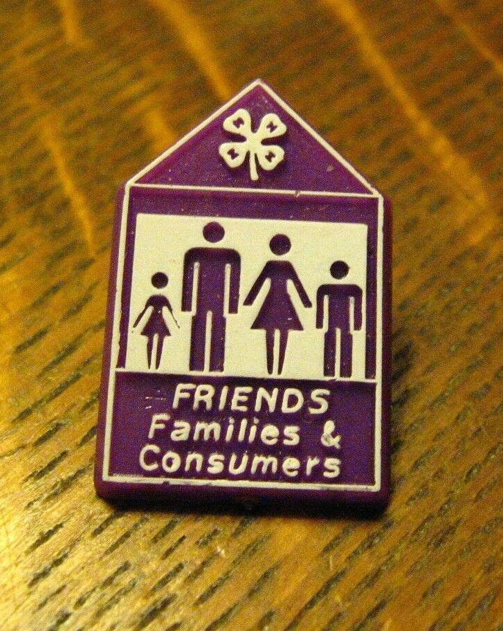 4H Purple House Vintage Lapel Pin - Friends Families & Consumers Organization 