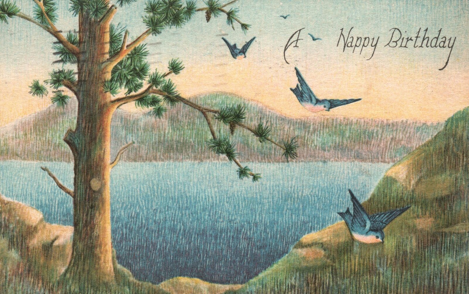 Vintage Postcard 1917 Happy Birthday Greeting a Special Natal Day Celebration