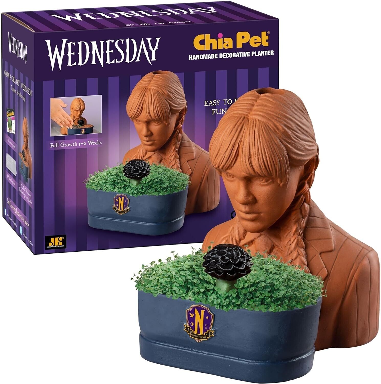 Chia Pet Wednesday with Seed Pack, Decorative Pottery Planter, Addams Family