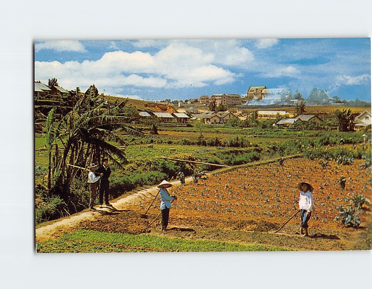 Postcard Garden scene at Da Lat in the high country Da Lat Vietnam