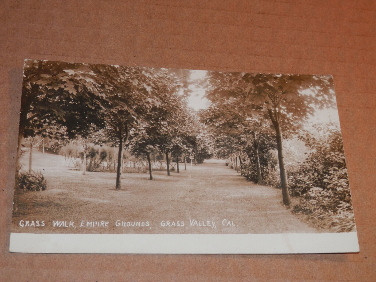 GRASS VALLEY CA - EARLY REAL PHOTO POSTCARD - GRASS WALK EMPIRE GROUNDS - NEVADA