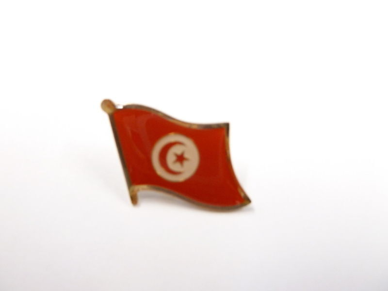 Tunisia Flag Label Pin / Tunisia Pin