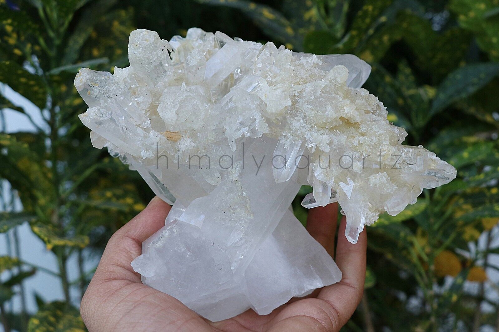 Big 1.53 Kg Natural Himalayan White Samadhi Crystal Minerals Quartz Raw Specimen