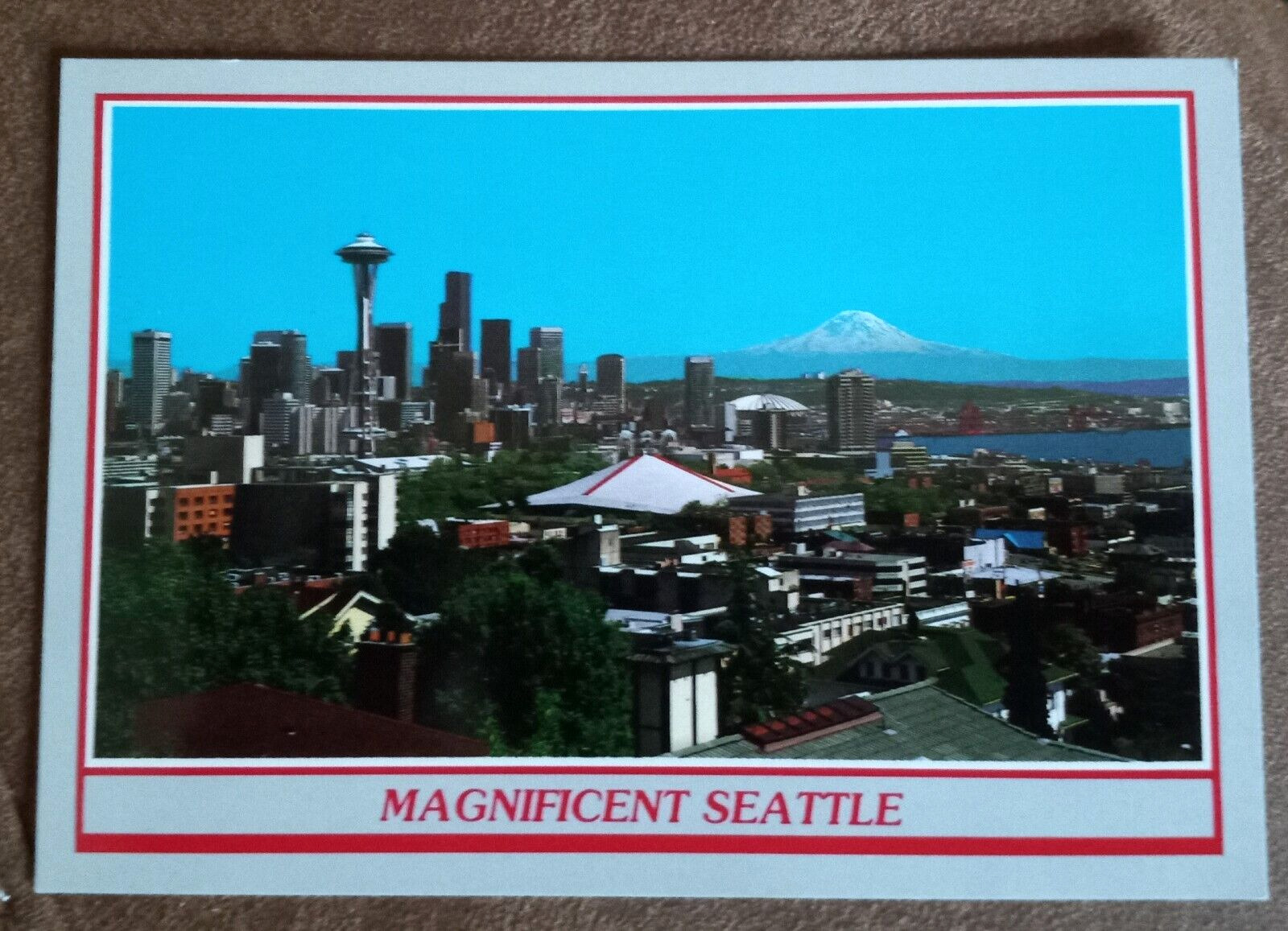 Magnificent Seattle Elliott Bay Mount Rainier Vintage Postcard Photochrome