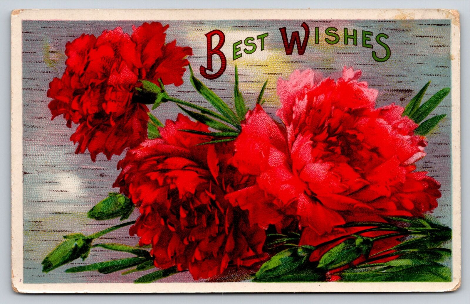 Greetings~Bright Red Carnations~Best Wishes~c1910 Vintage Postcard