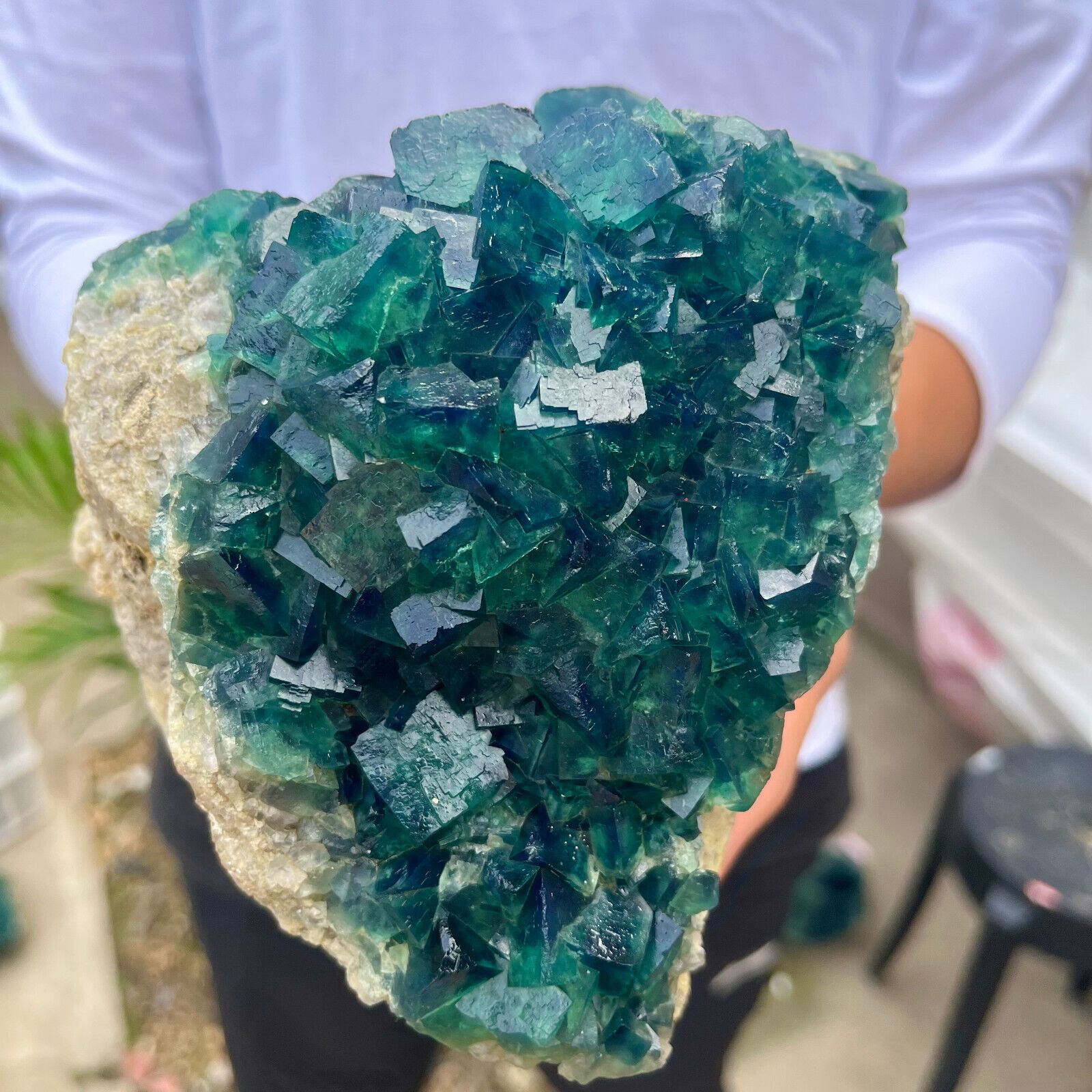 5lb NATURAL Green Cube FLUORITE Quartz Crystal Cluster Mineral Specimen