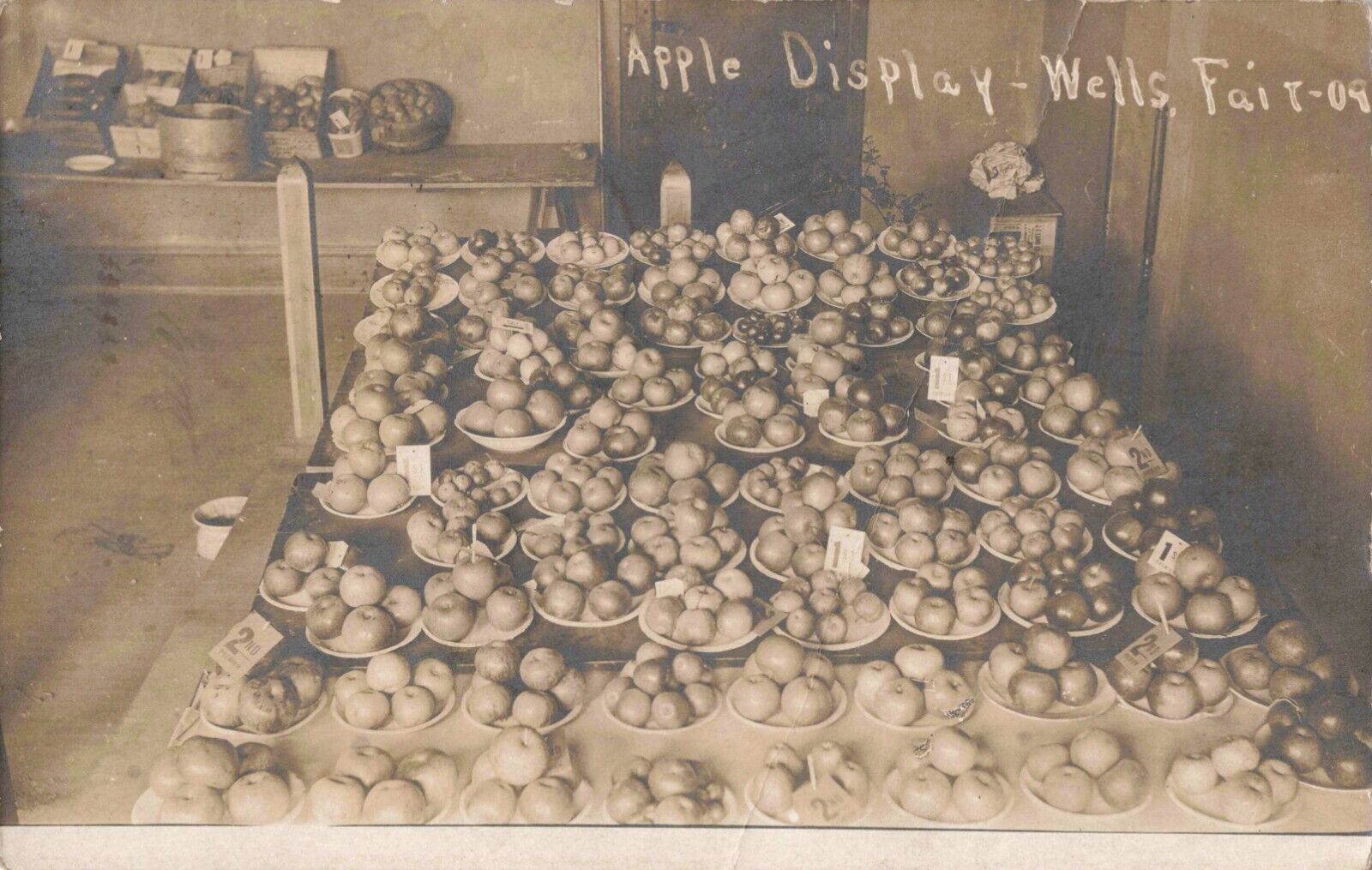 Apple Display Wells Fair Wells Minnesota MN 1909 Real Photo RPPC