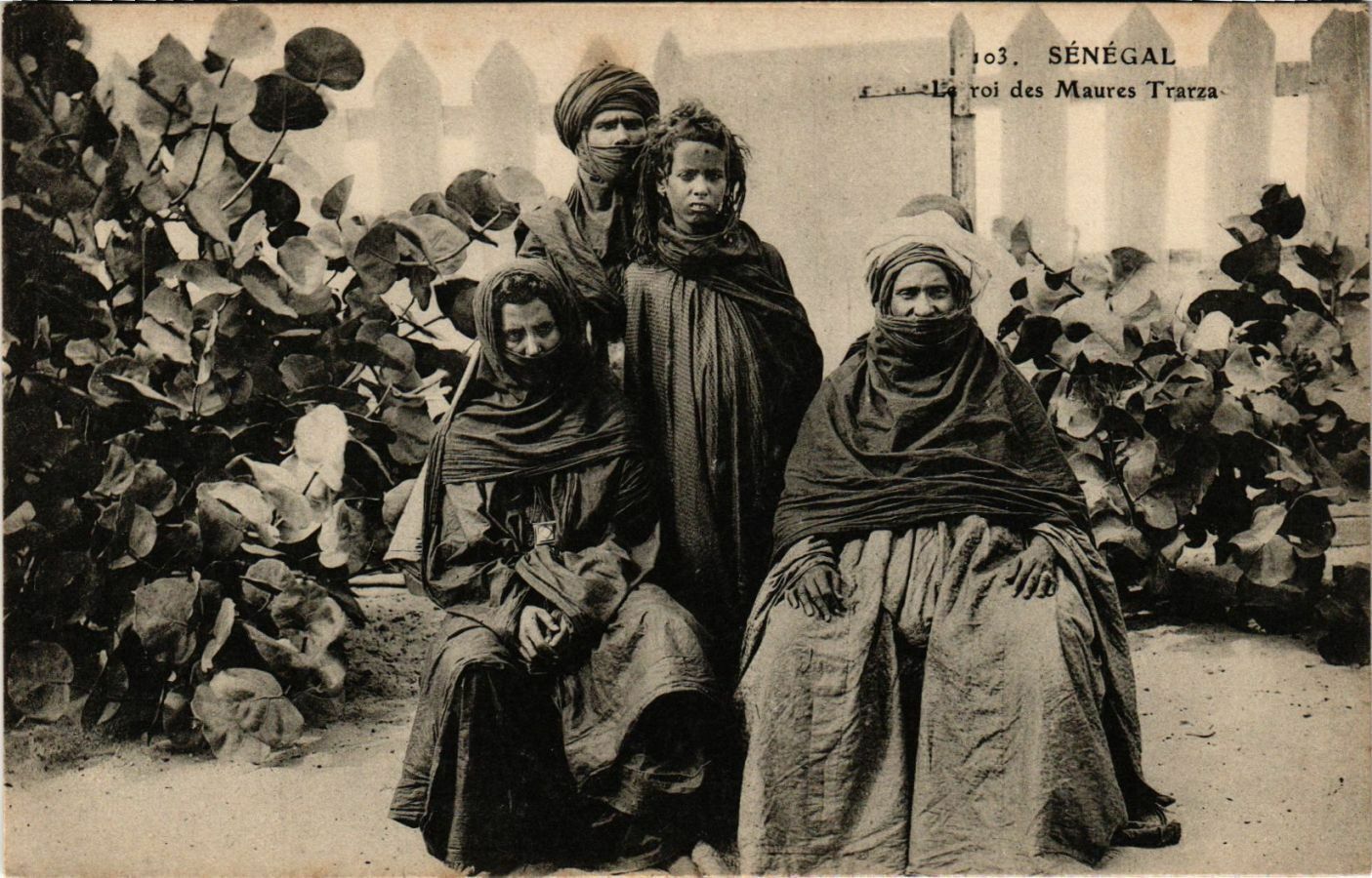 CPA AK SENEGAL-103. The King of the Moors Trarza (331128)