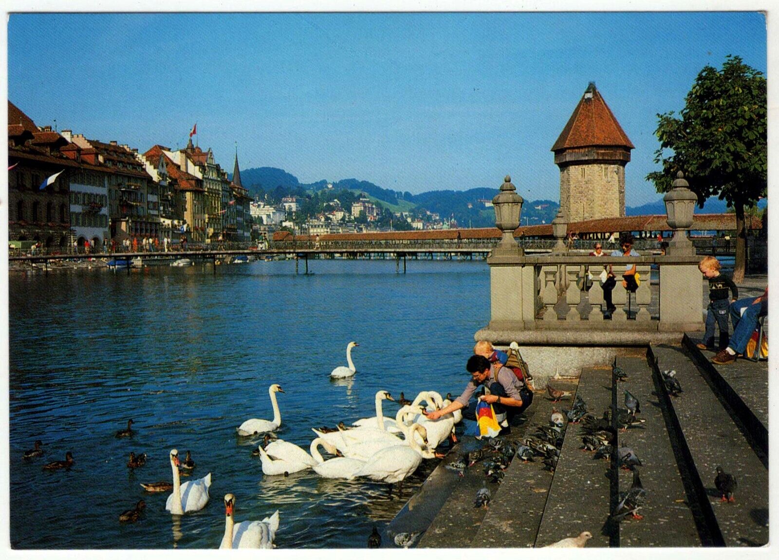 Vintage Postcard: Chapel Bridge and Water Tower Lucern Switzerland