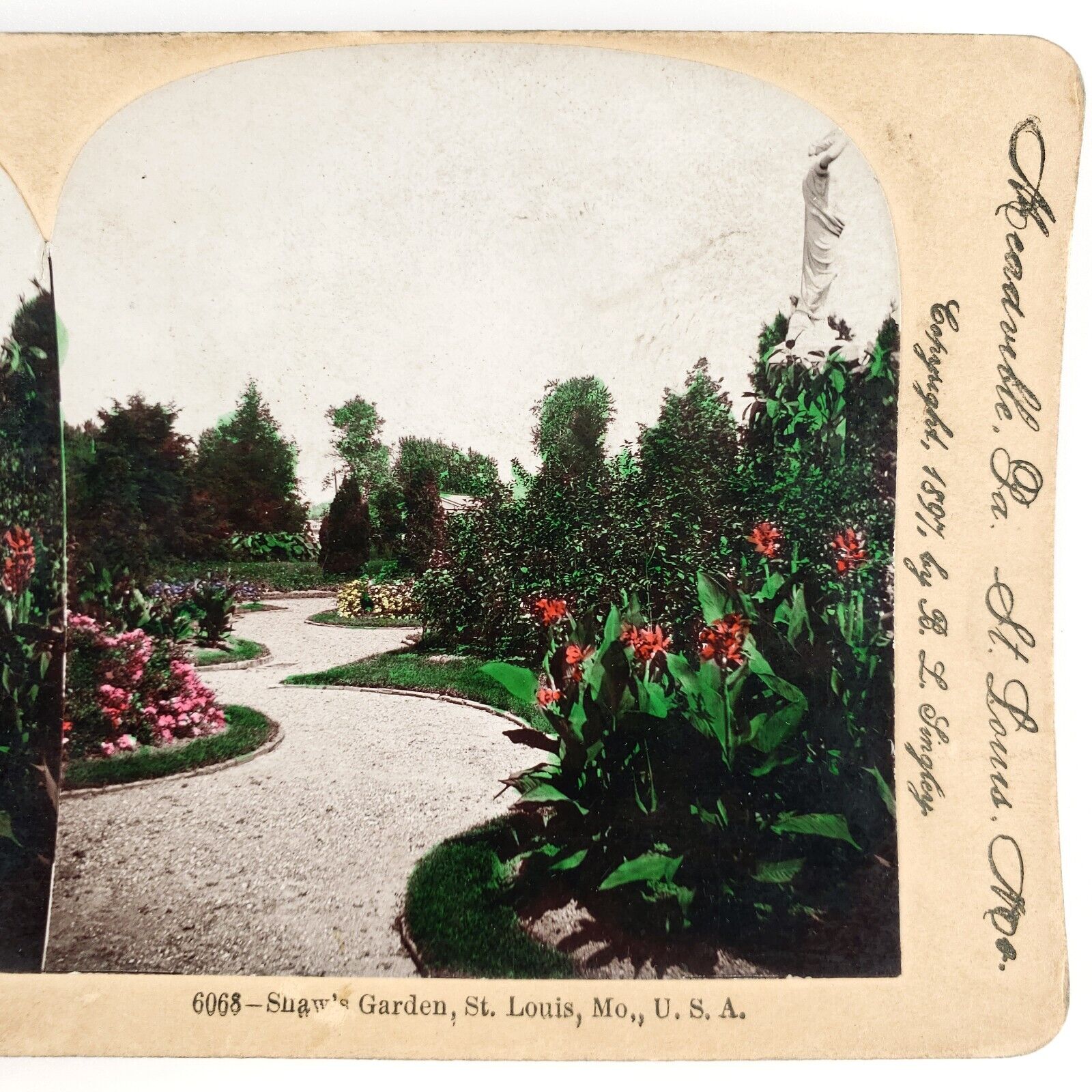 Shaw's Garden St Louis Stereoview c1897 Keystone Tinted Missouri Botanical G758