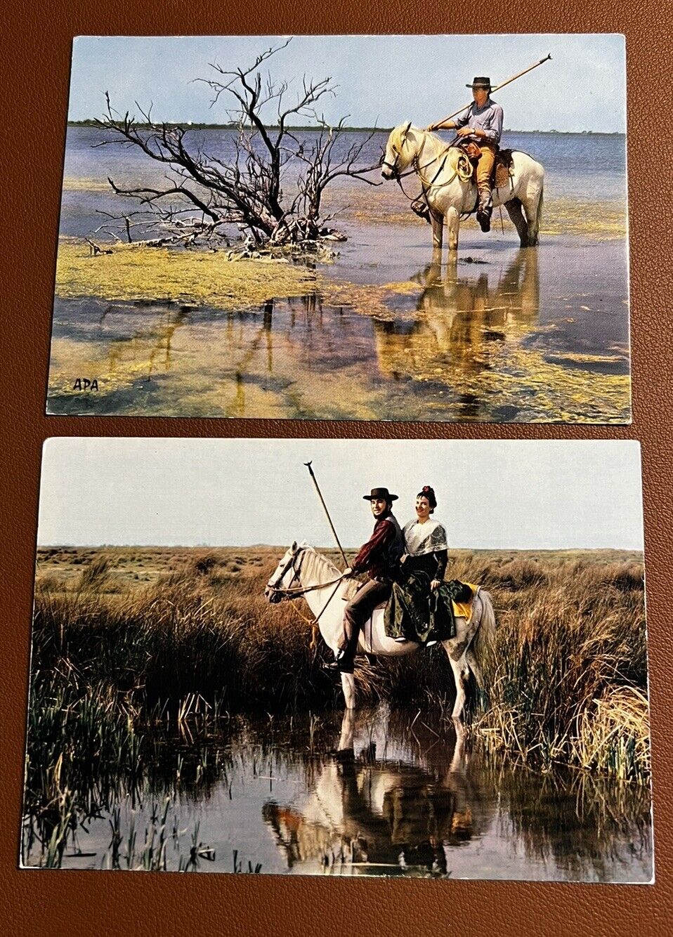 Vtg Lot of 2 Postcards Camargue France Herdsmen w/ Tridents Horses French Cowboy