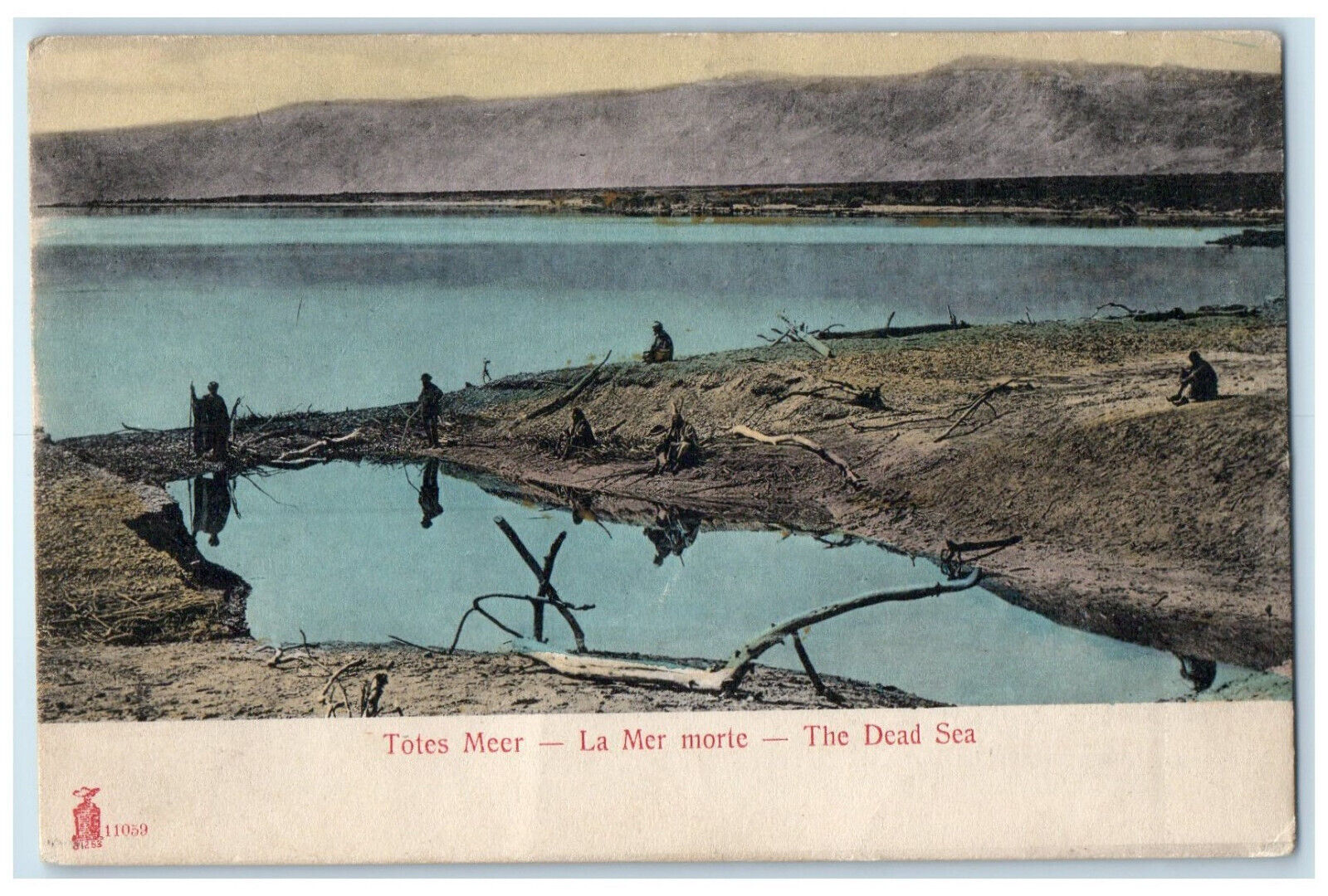 c1905 Working Near The Dead Sea Jordan Middle East Unposted Antique Postcard
