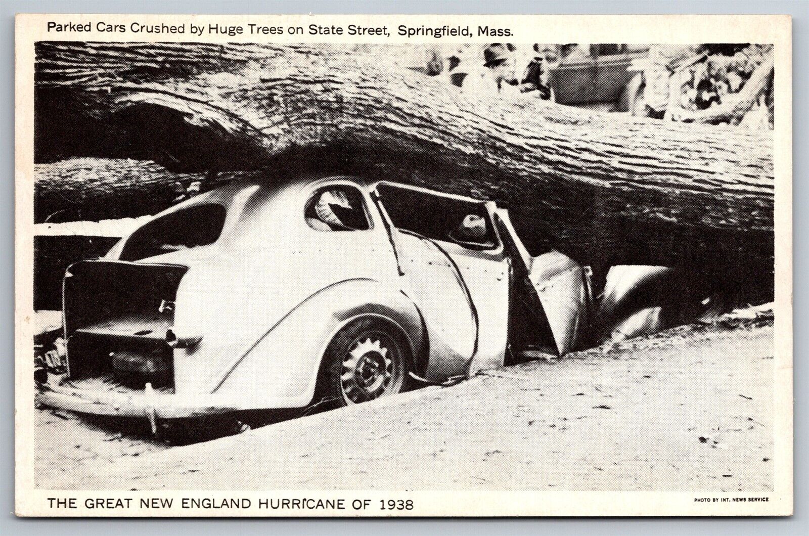 Disaster Hurricane 1938 Springfield Mass Crushed Car Tree State St Postcard F21