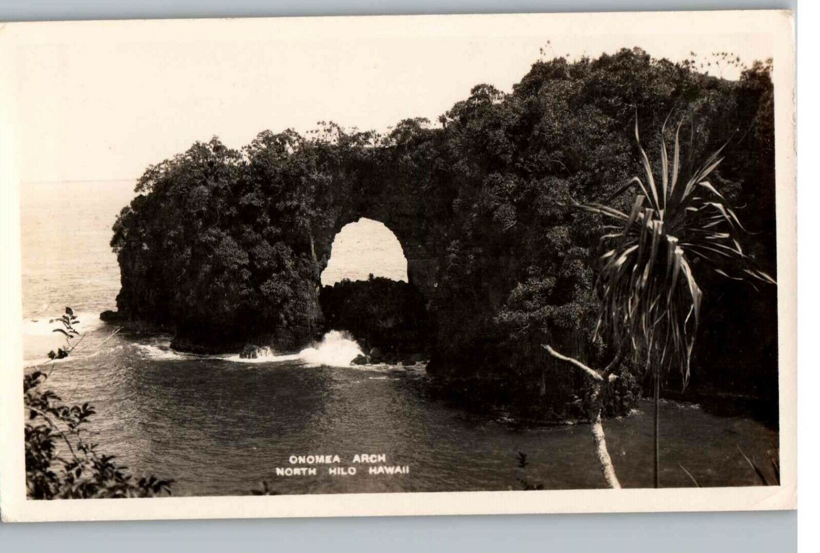 Real Photo Postcard Onomea Arch Hawaii North Hilo c1927-1940s AZO Squares