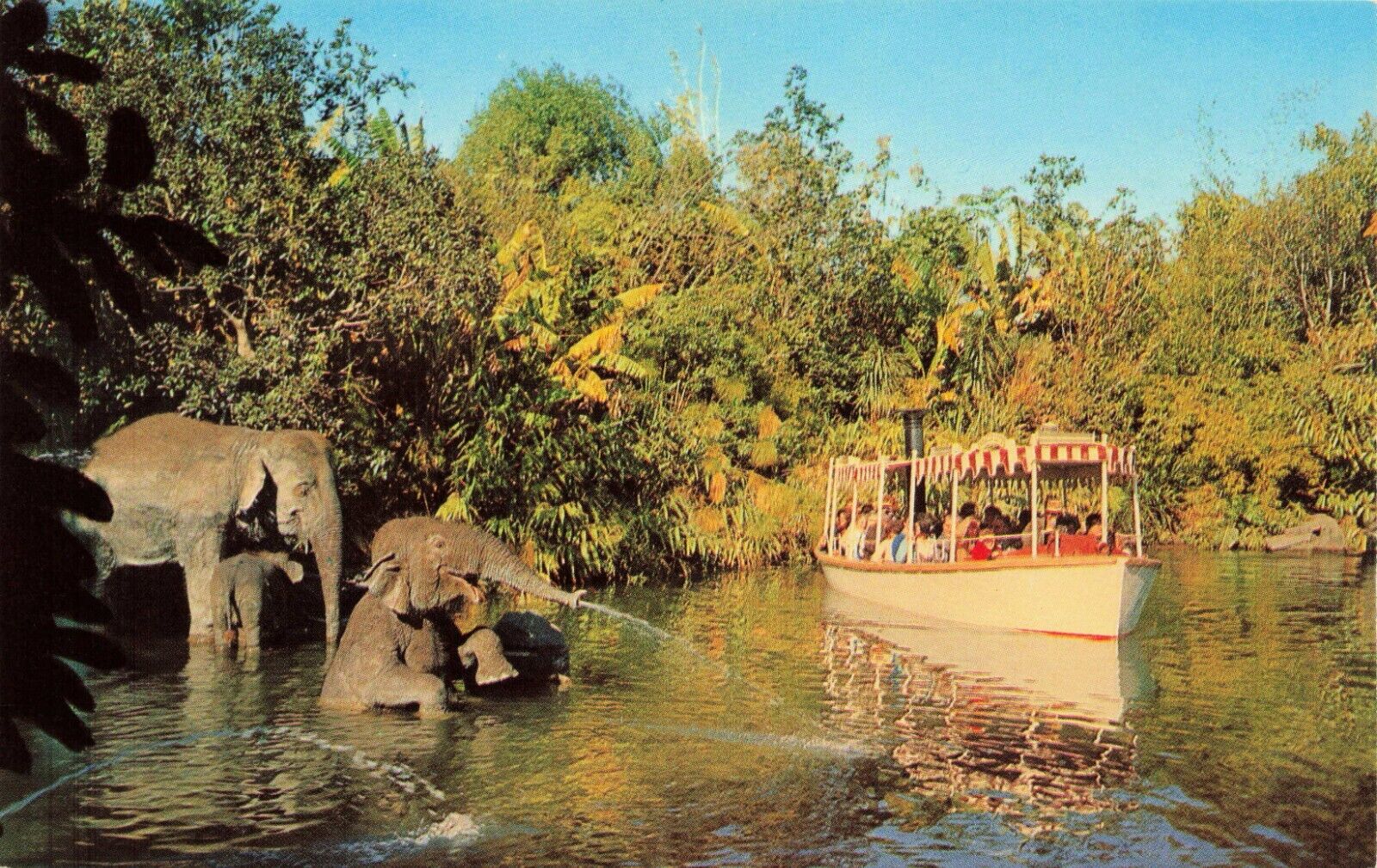 Postcard Elephant Bathing Pool Adventureland Disneyland Anaheim, California VTG
