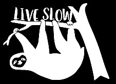 Live slow Sloth funny vinyl decal car bumper sticker 244