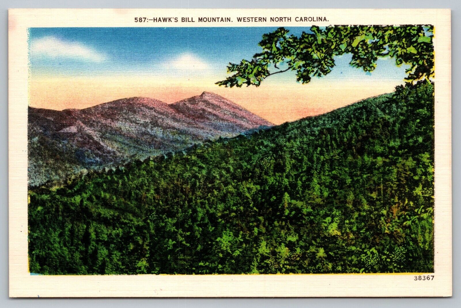 Postcard Hawks Bill Mountain Western NC North Carolina Linen White Boarder Vtg