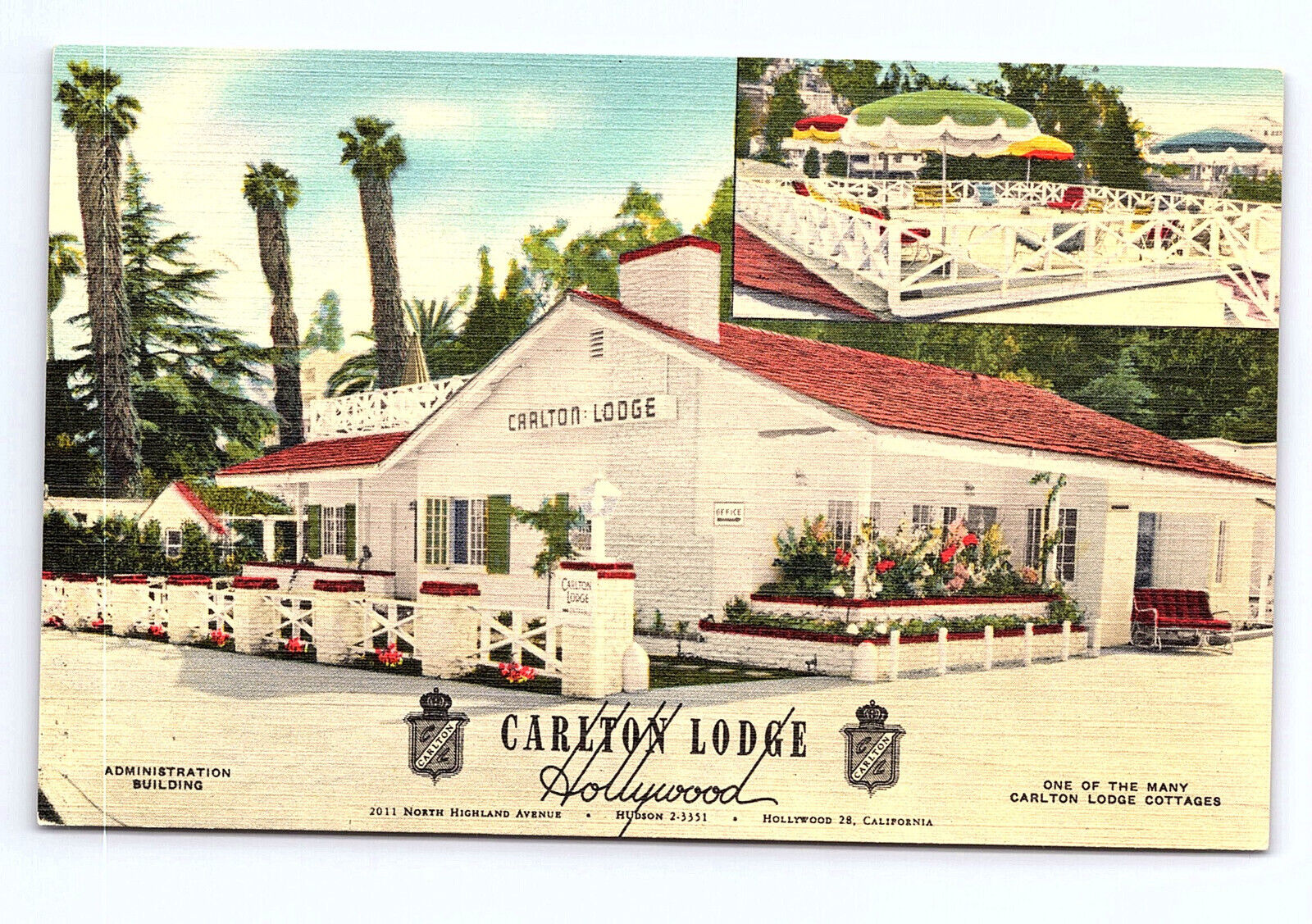 Carlton Lodge Hollywood California linen postcard B513