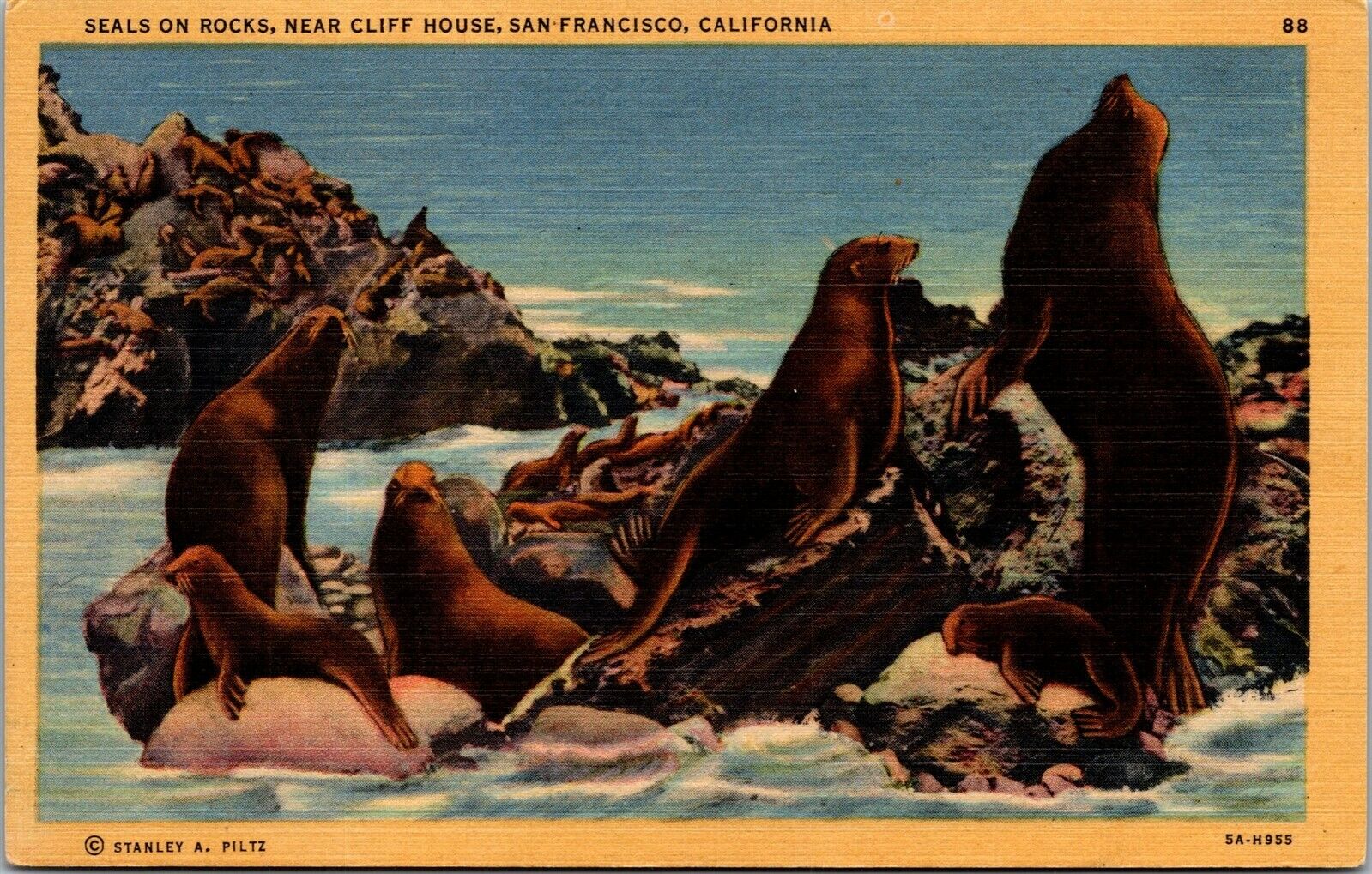 Vtg San Francisco CA Seals on Rocks near Cliff House 1930s Unused Linen Postcard