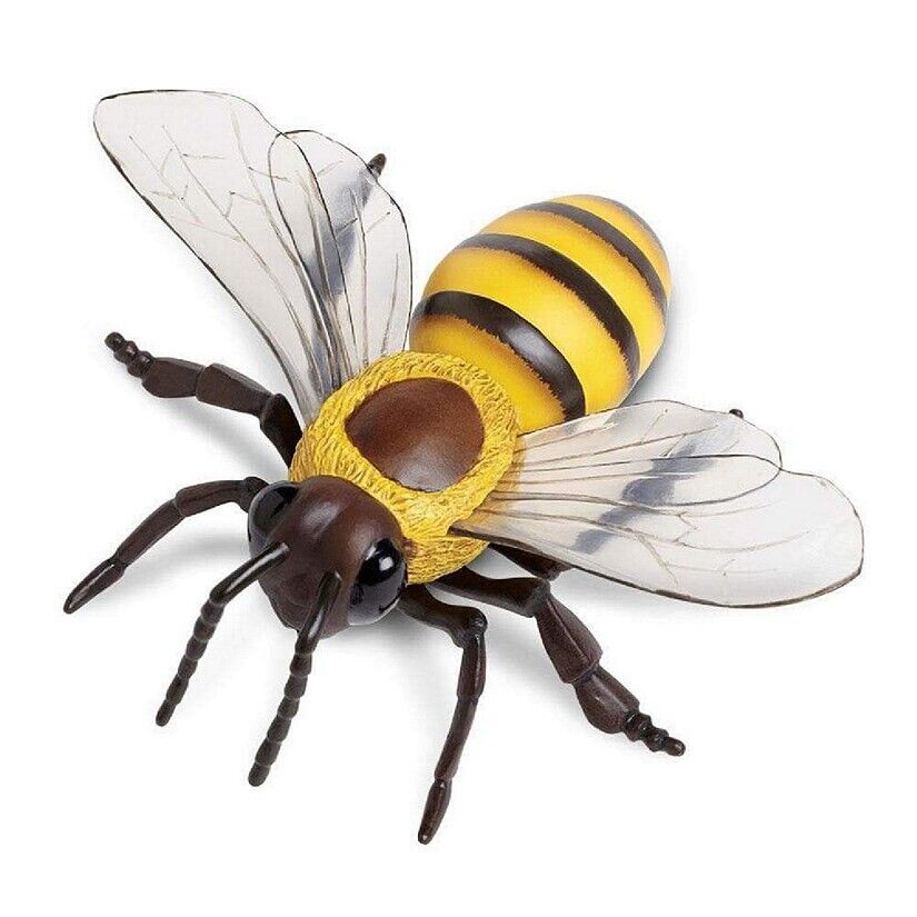 Safari Ltd Incredible Creatures Honey Bee Toy Figure