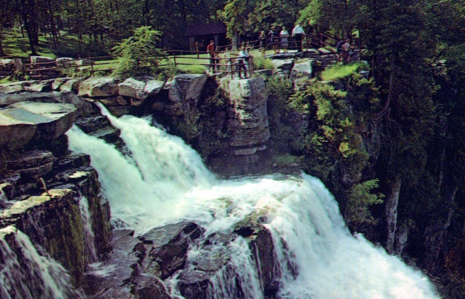 Upper Chittenango Falls Chittenango Falls State Park New York Postcard