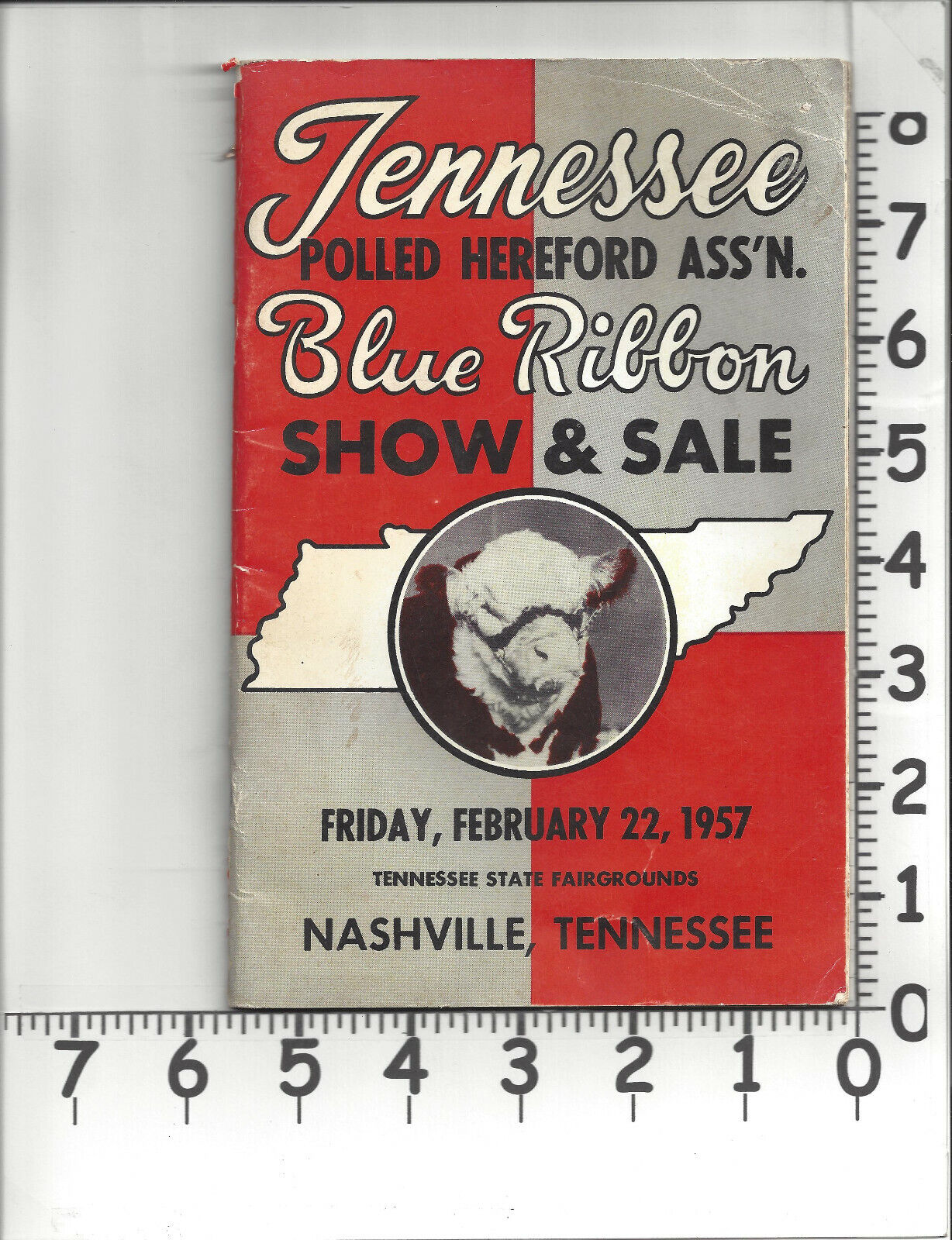 Vtg Catalog Tennessee Polled Hereford Assn Blue Ribbon Show 1957 Memphis, Tenn