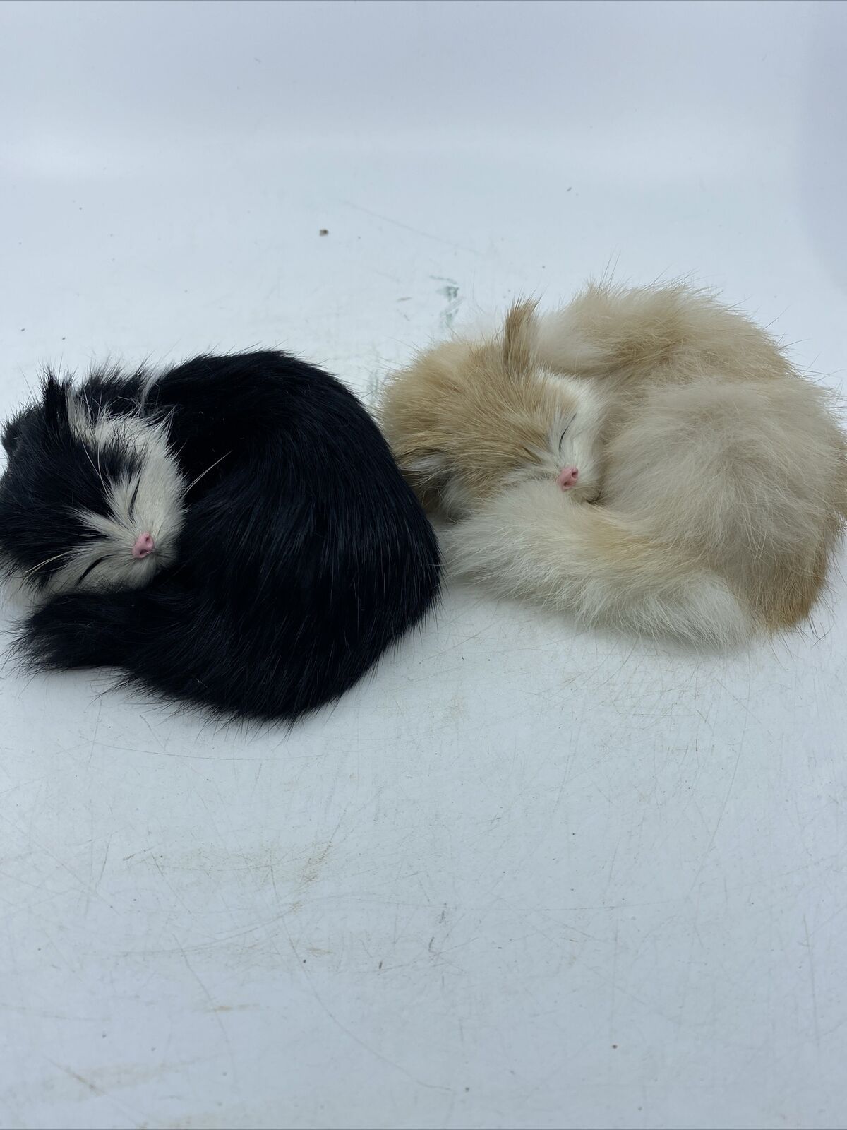 2 Realistic Lifelike Cat Sleeping Rabbit Fur Realistic