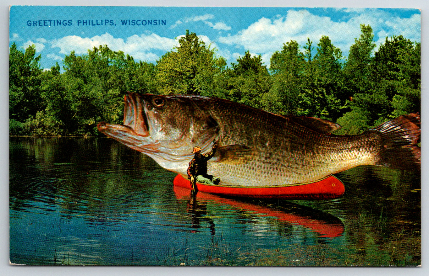 c1960s Greetings Phillips Wisconsin Big Fish Postcard Unused Vintage \'\'
