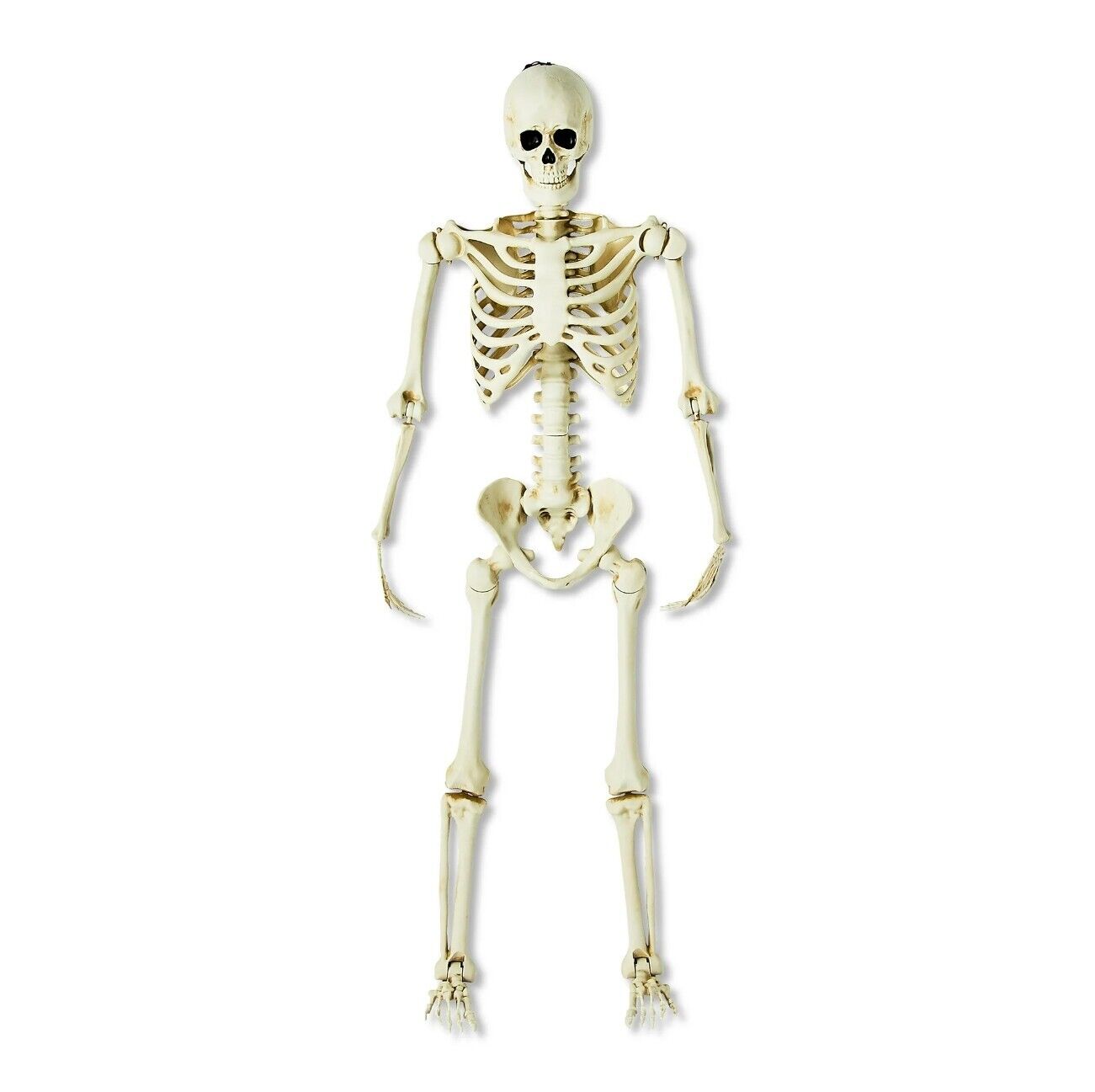 5 ft. Halloween Skeleton Posable Hanging Decor Indoor Outdoor Scary, Bone Color