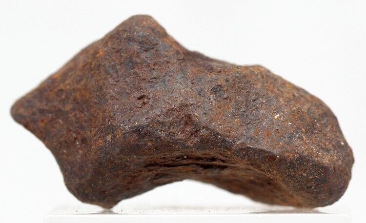 Mundrabilla Iron Meteorite Mineral Sculptural Specimen AUSTRALIA Natural Patina