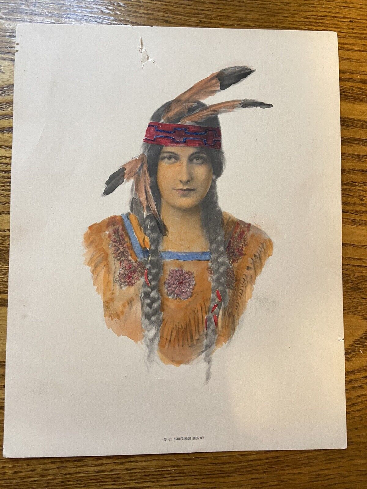 Schlesinger Brothers Original Antique 1911 Native American Tinted