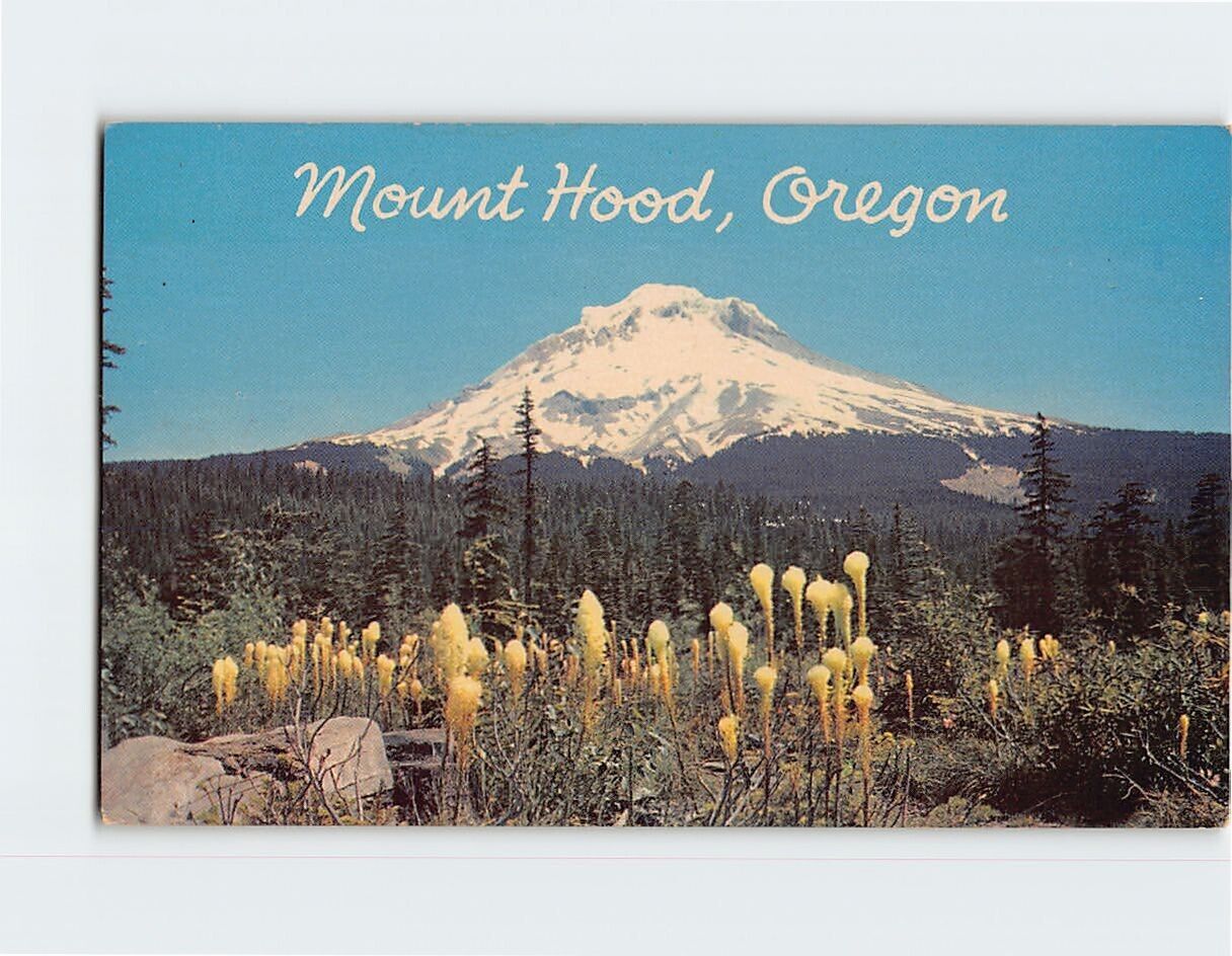 Postcard Mount Hood, Oregon