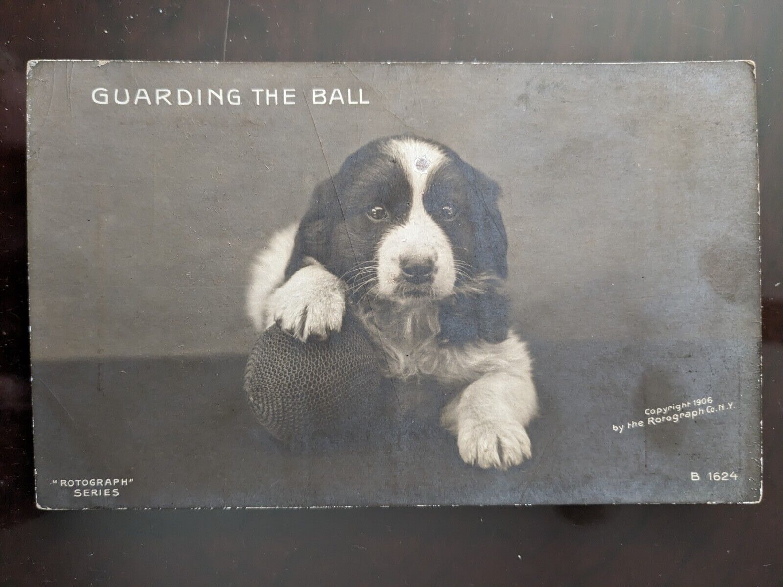 RPPC - Guarding the Ball (Puppy) - 1907, Rough Edges