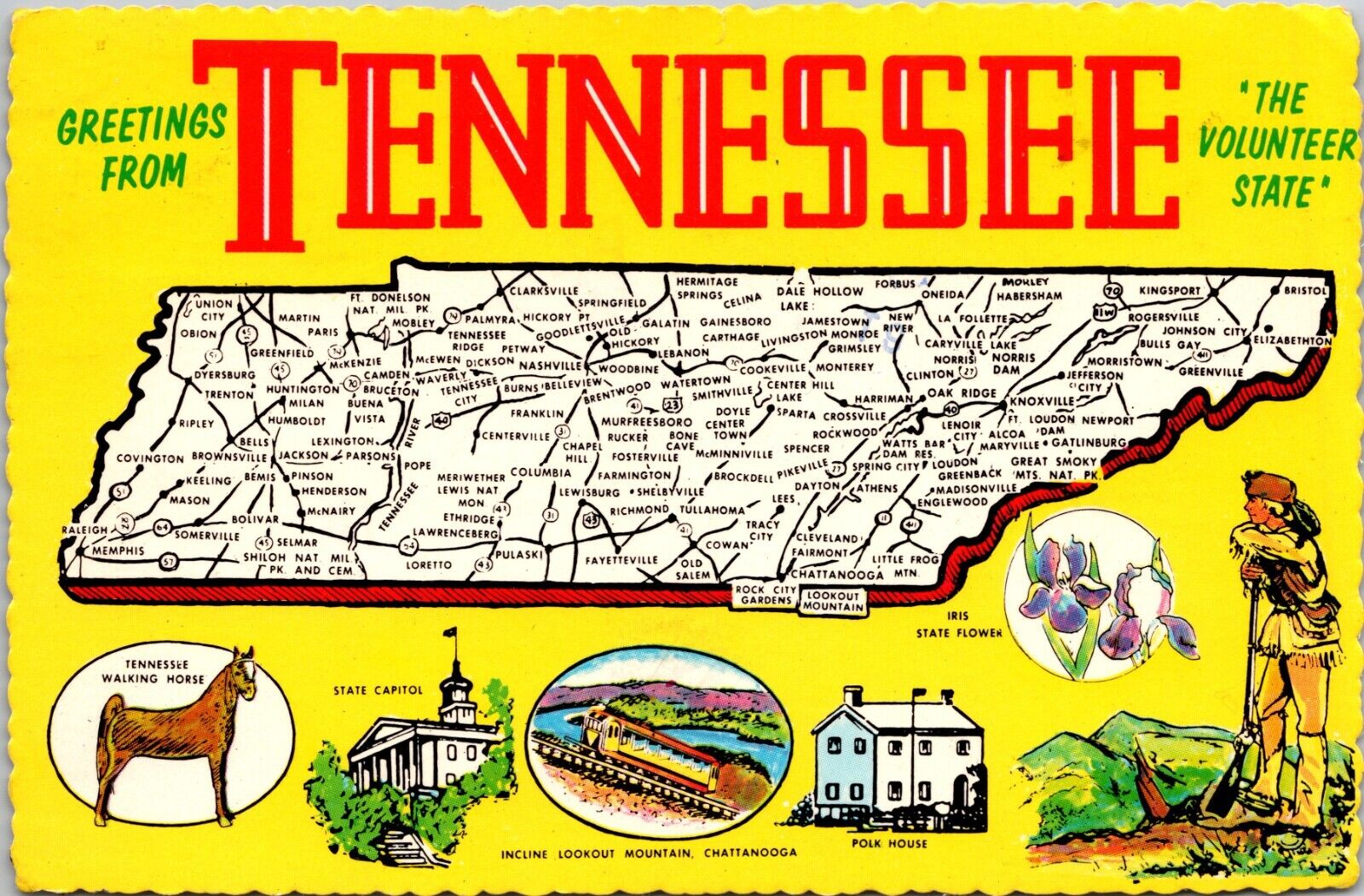 Large Letter Greetings From Tennessee  Postcard