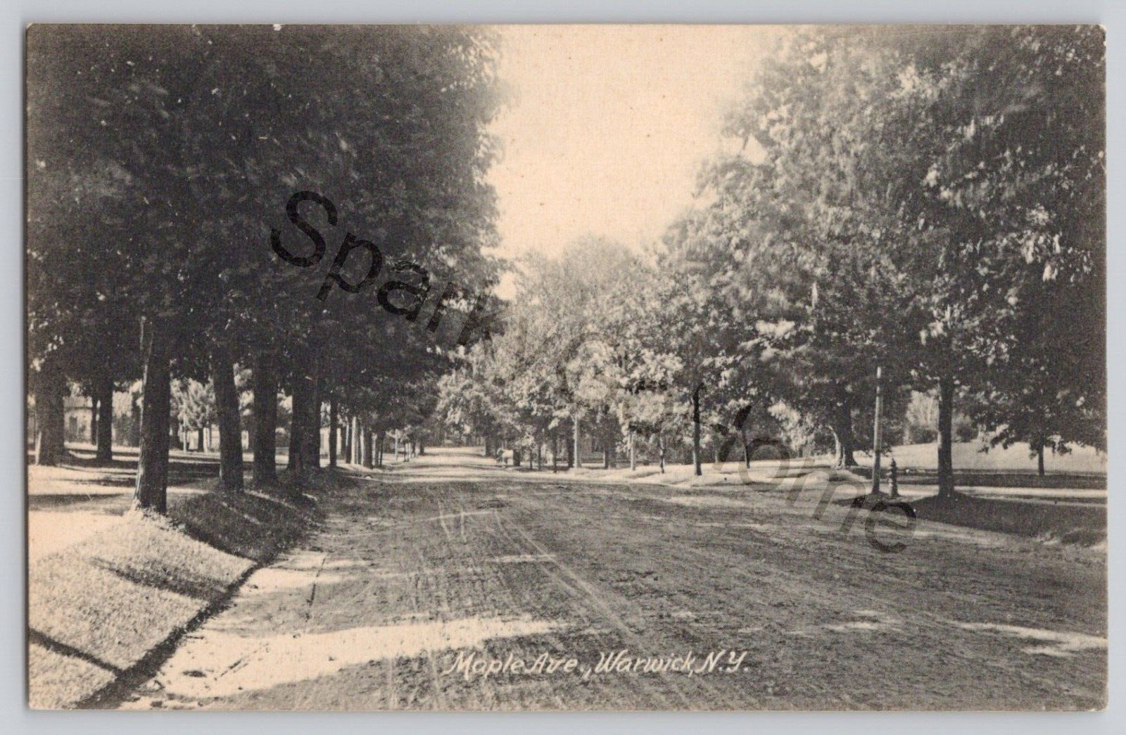 Maple Ave Warwick NY Tree-Lined Residential Street 1909 Postcard