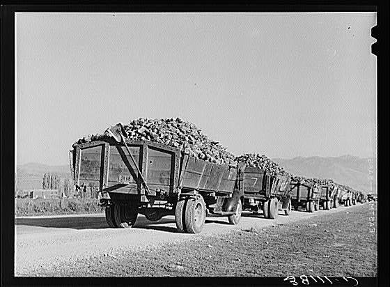 Lewiston,Utah,UT,Cache County,Farm Security Administration,November 1940,FSA