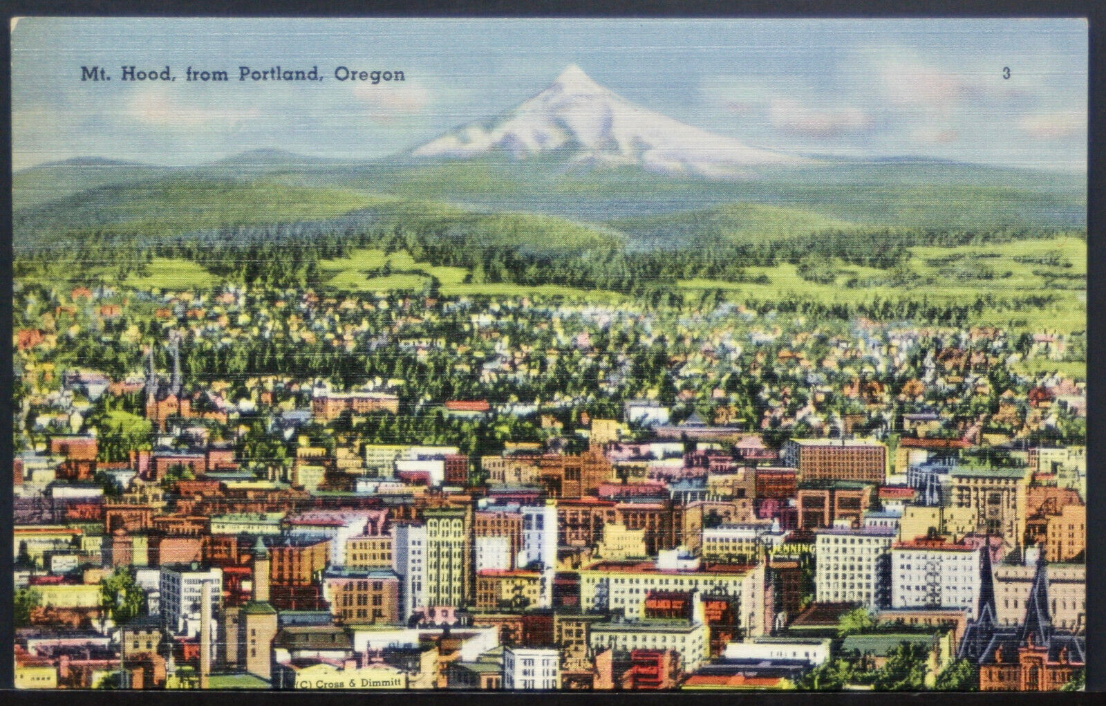 Mt Hood from The Rose City - Portland Oregon   LINEN  PC1810