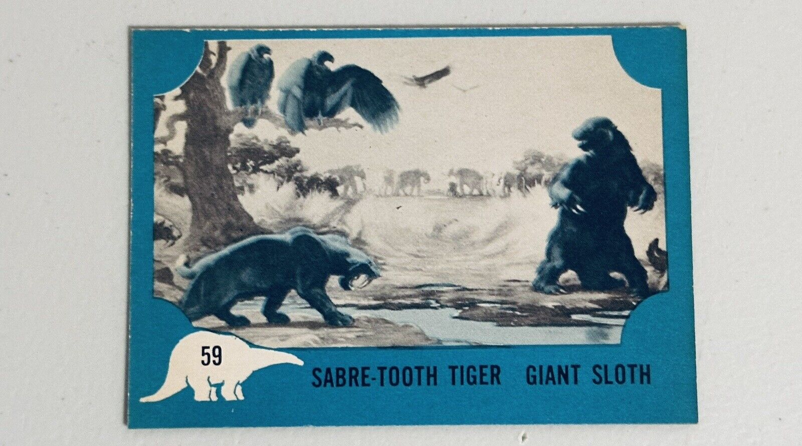 1961 Nu Card Dinosaur Series #59 EX-MT SABRE-TOOTH TIGER GIANT SLOTH