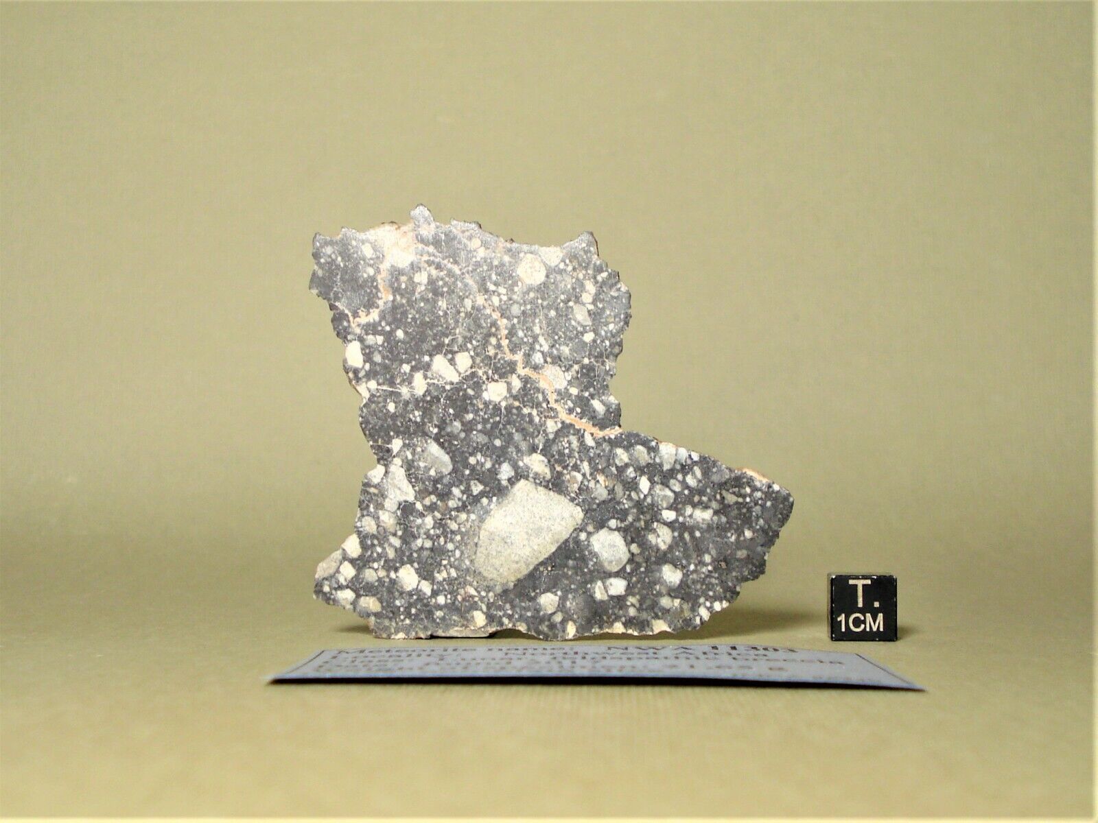 meteorite NWA 11303 Lunar, Moon feldspathic breccia, complete slice 21,65 g