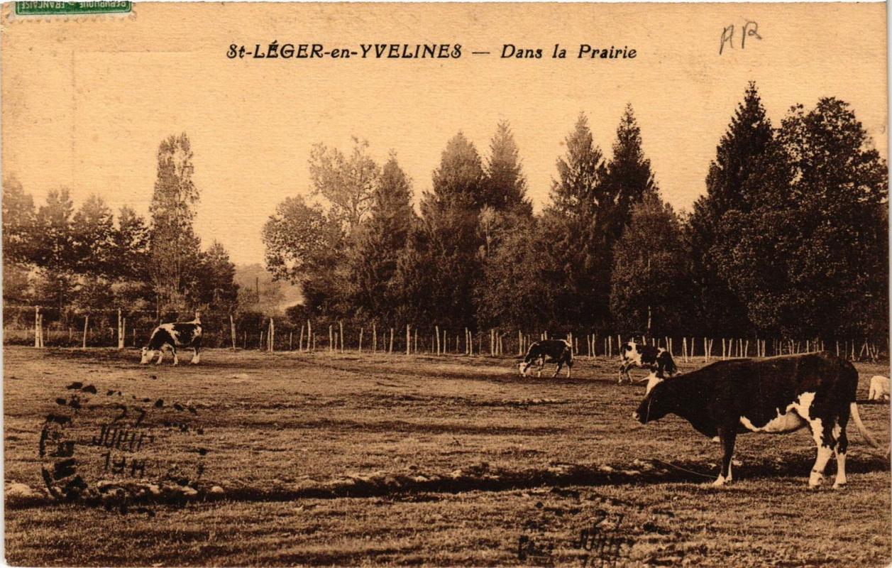 CPA St-LEGER-en-YVELINES Dans la Prairie (617892)